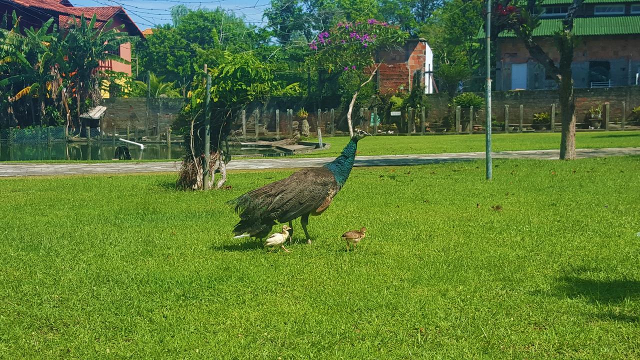 Pousada Pavao Branco Florianópolis Zewnętrze zdjęcie