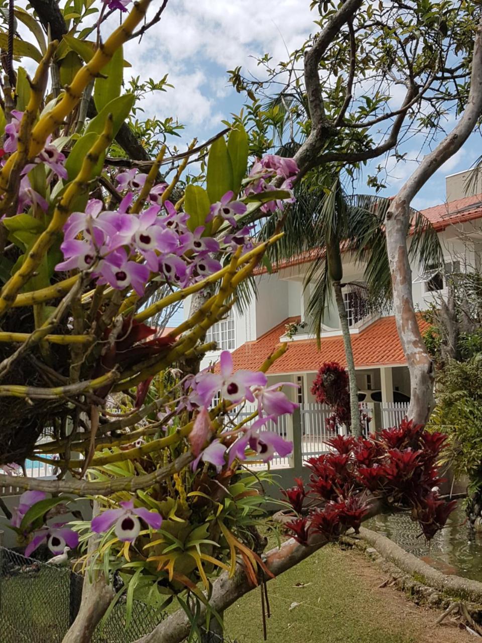 Pousada Pavao Branco Florianópolis Zewnętrze zdjęcie
