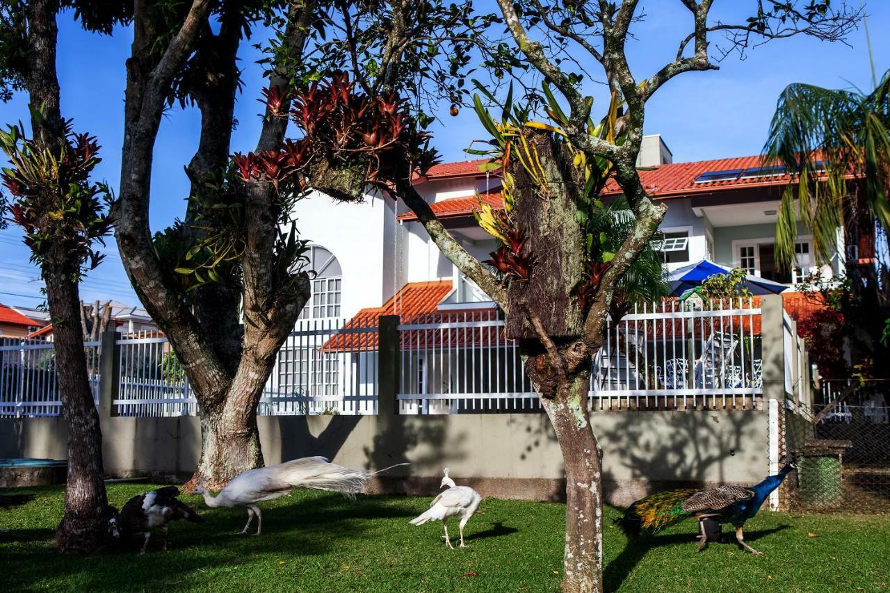 Pousada Pavao Branco Florianópolis Zewnętrze zdjęcie